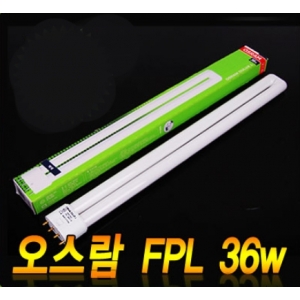 [오스람]<br>전구36W(주광색)