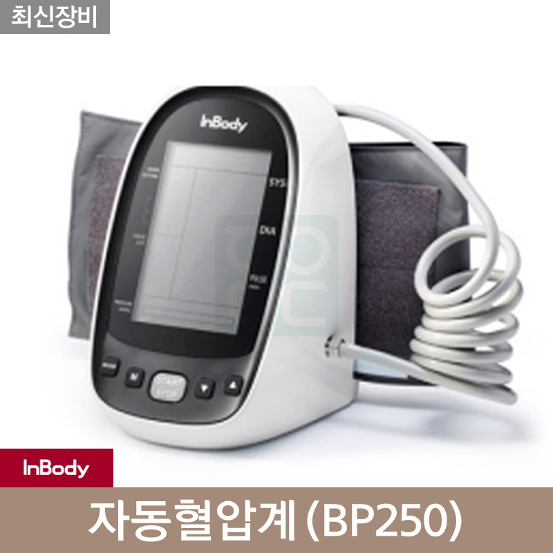 [인바디]<br>자동혈압계<br>BP250