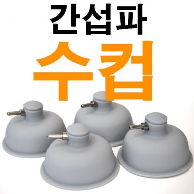 [MD정품]간섭파(수)컵<br>4개1조